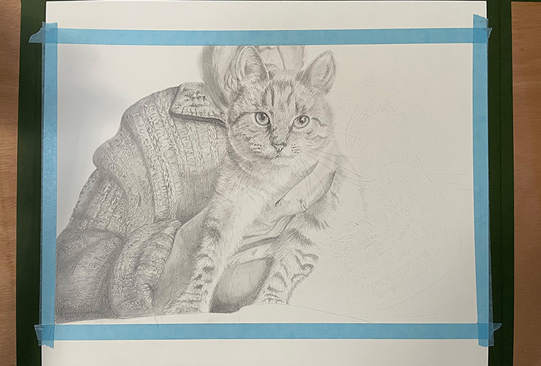 水貼りした画用紙に描き始めた猫の鉛筆画