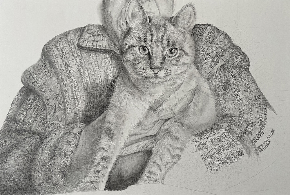 セーターと猫をだいぶ描き進めたところ