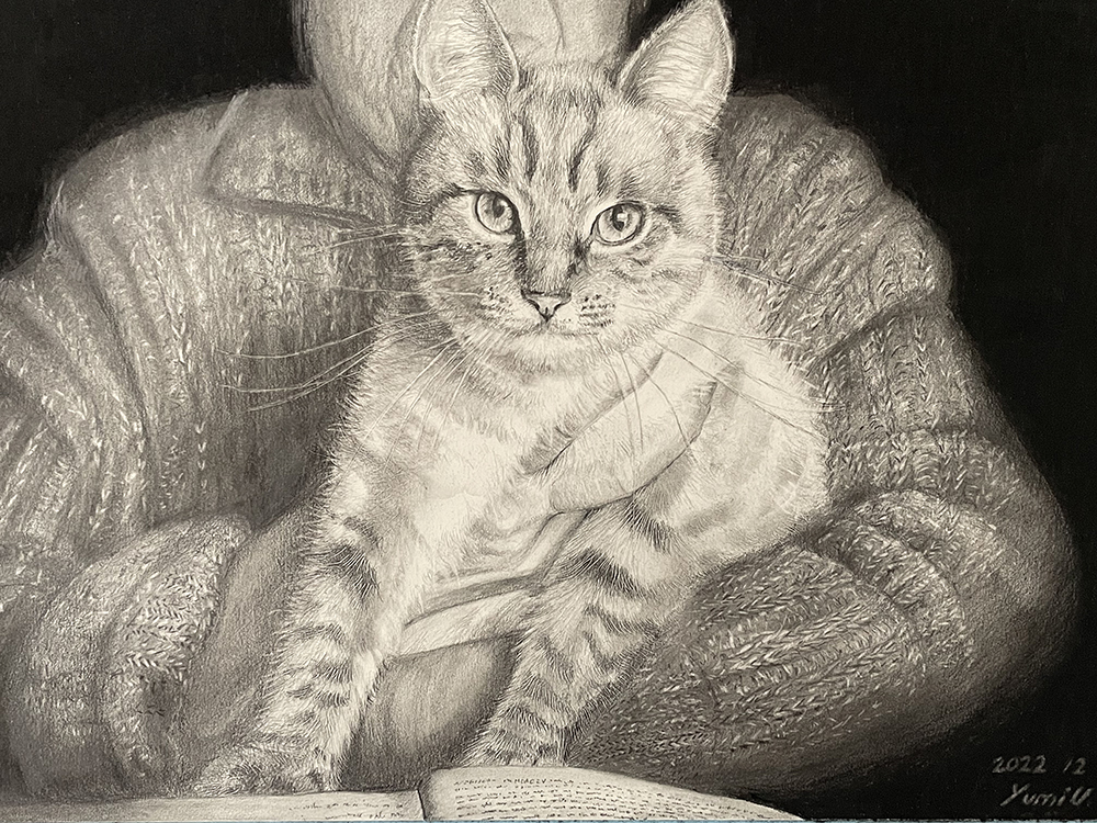 鉛筆画 猫の肖像 猫アート