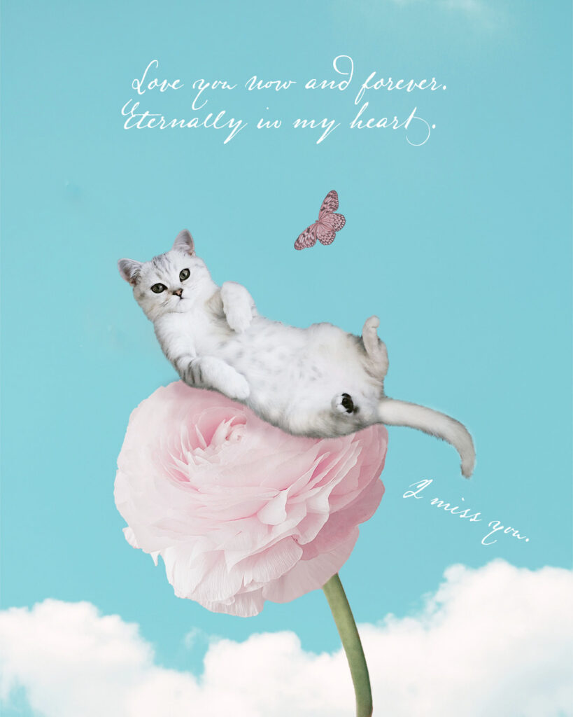 ピンクの花の上の猫のアート 猫アート ペットアート 猫メモリアルコラージュ作品