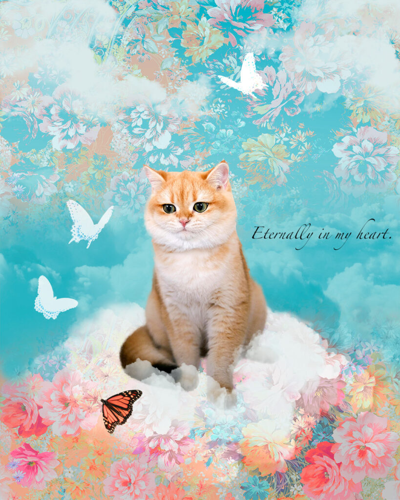 お花畑の猫