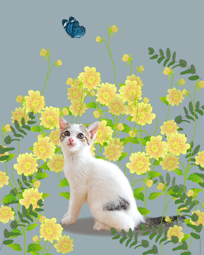 子猫とダリア