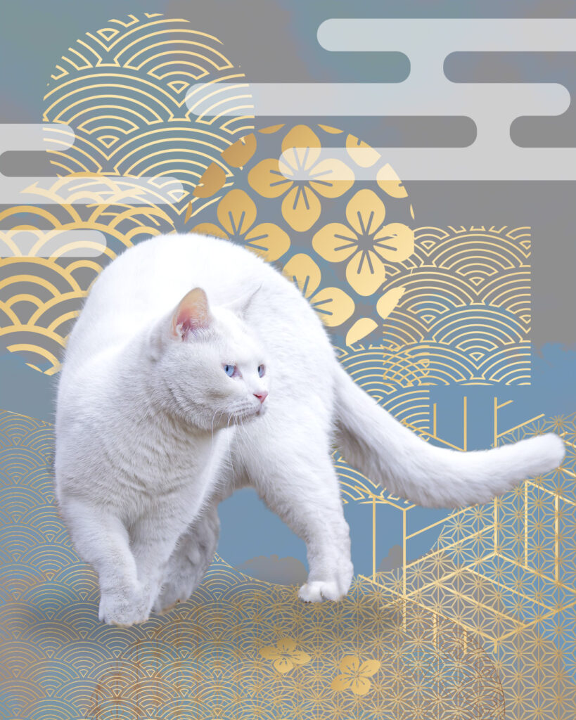 大きな白猫と和の文様 金色