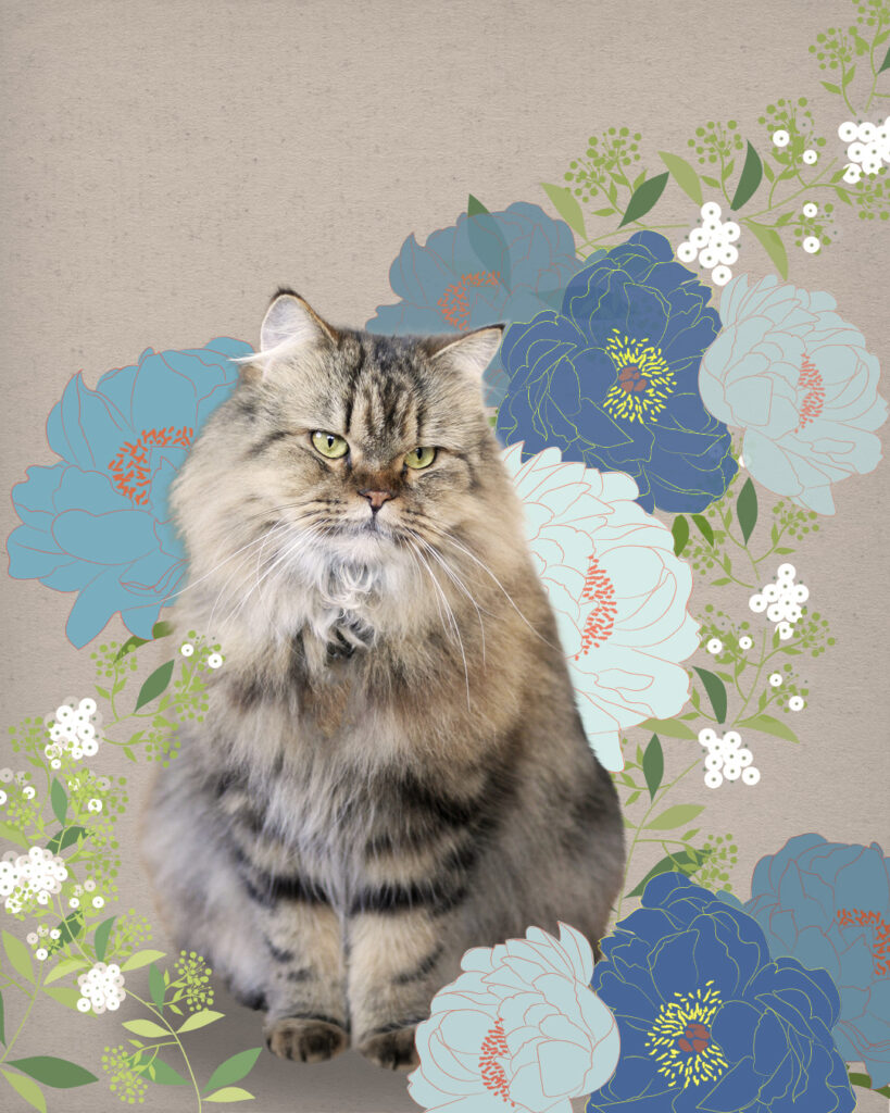 薄茶のもふもふ猫 和風の花