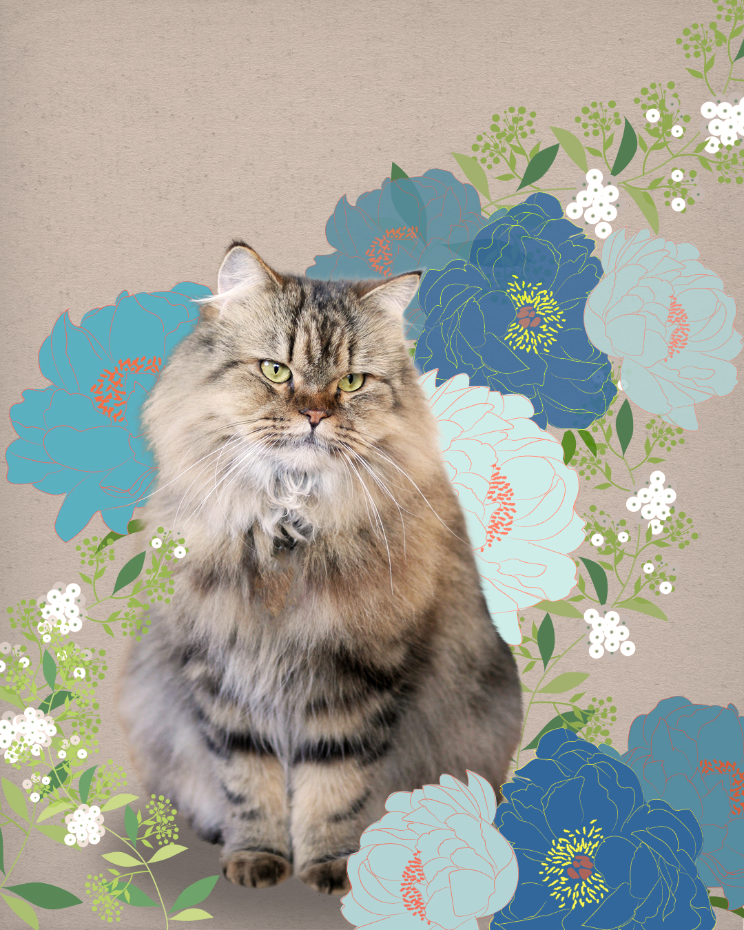 薄茶のもふもふ猫のメモリアルコラージュ