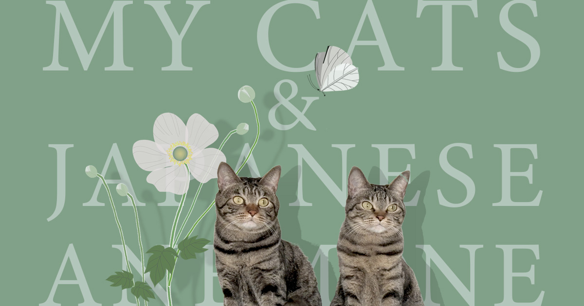 二匹のキジトラ猫と秋明菊