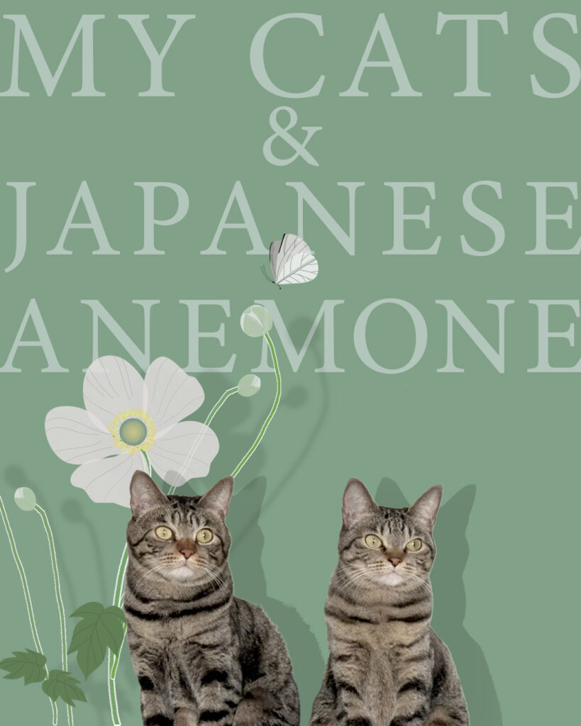 二匹のキジトラ猫