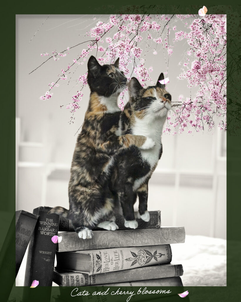 桜とサビ猫2匹のメモリアルコラージュ