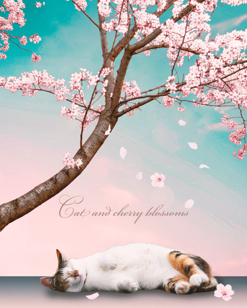 桜の木の下で眠る猫のメモリアルコラージュ