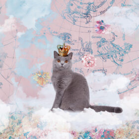 王冠を被った猫のメモリアルコラージュ（UJWORKS制作）