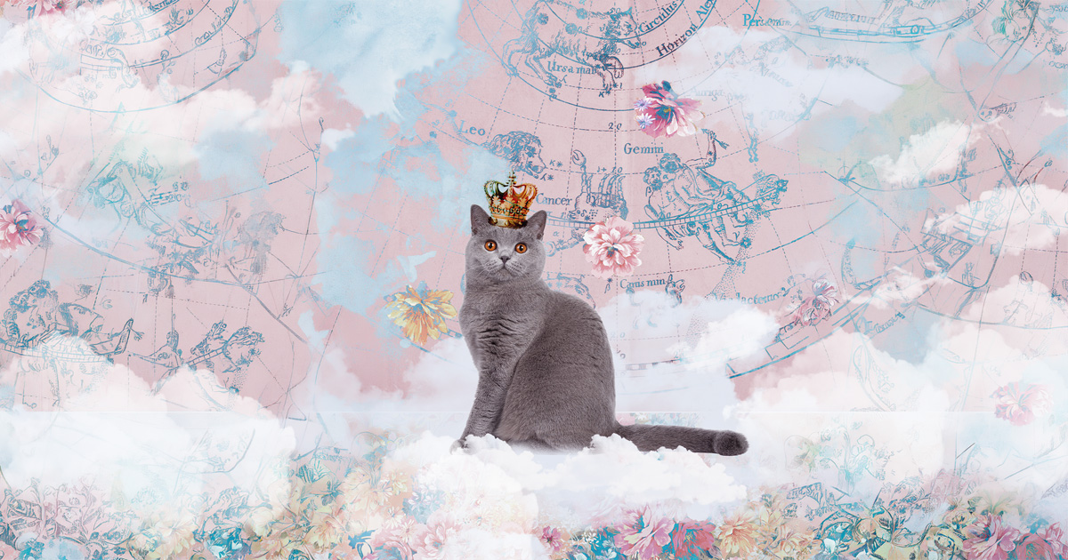 王冠を被った猫のメモリアルコラージュ（UJWORKS制作）