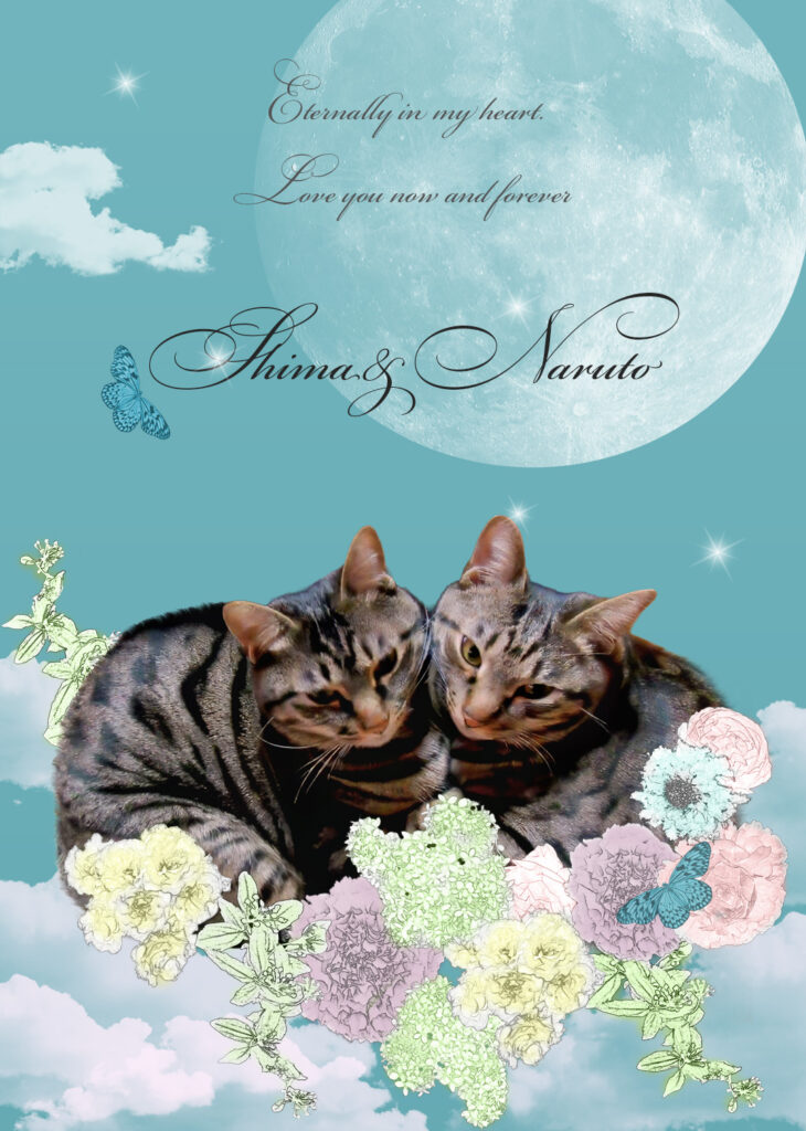 two-cats-memorial-collage(UJWORKS制作)