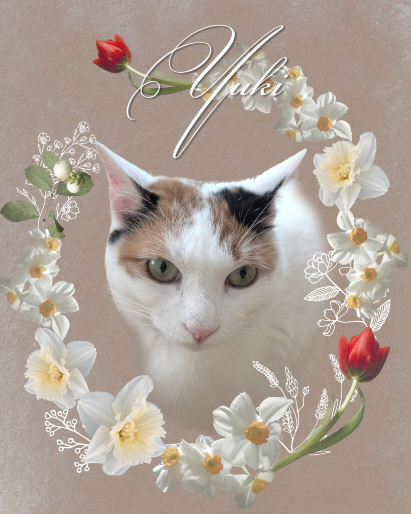 ユキちゃんのメモリアルコラージュ（UJ WORKS制作）