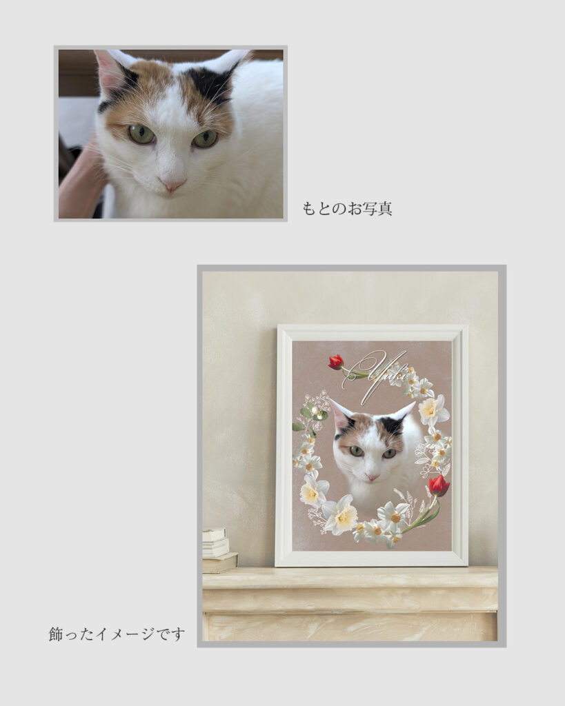 猫のユキちゃんのメモリアルコラージュのビフォー・アフター（UJ WORKS制作）