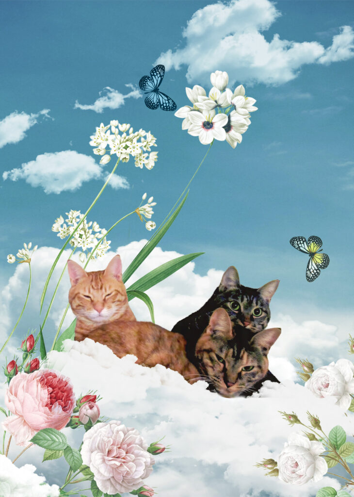 三匹の猫のメモリアルコラージュ ペットメモリアル（UJWORKS制作）