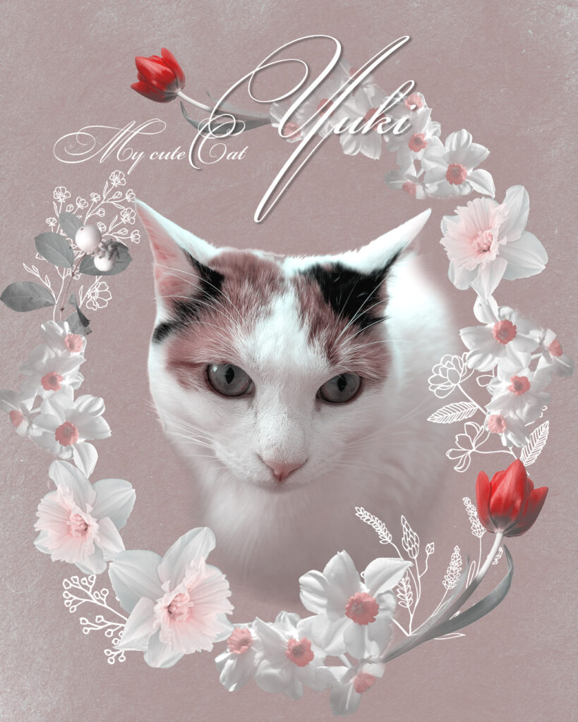 narcissus-cat-collageart(UJWORKS制作)