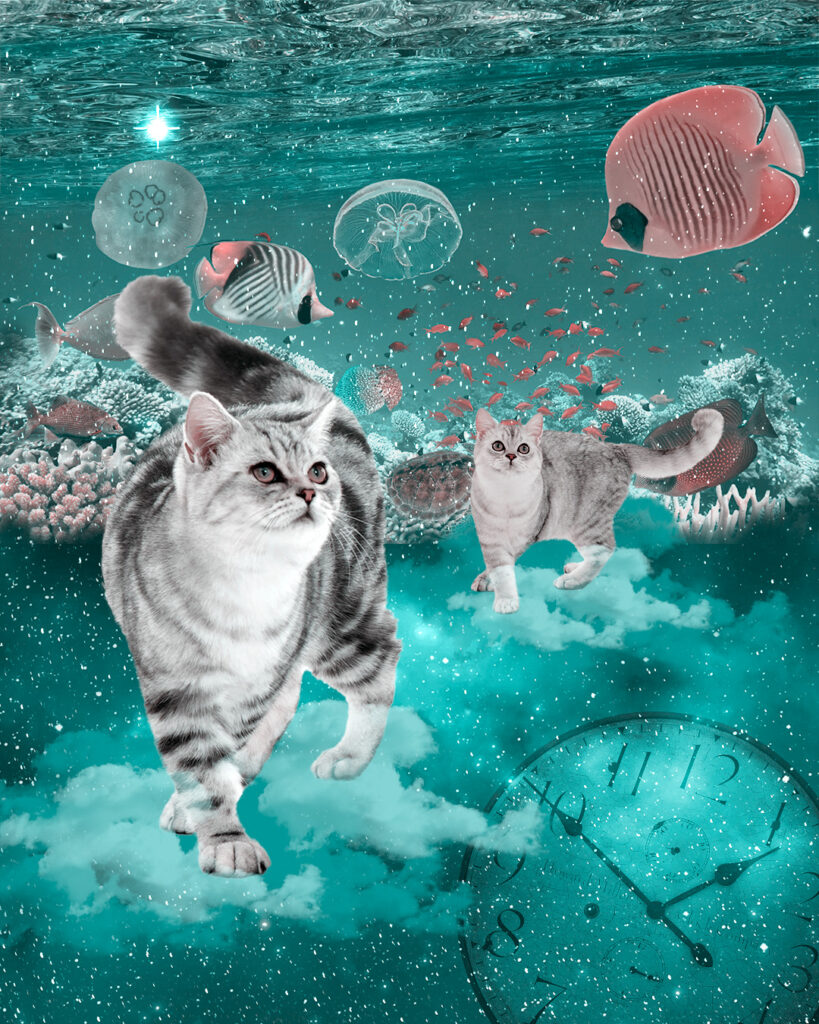 空と海の間の猫
