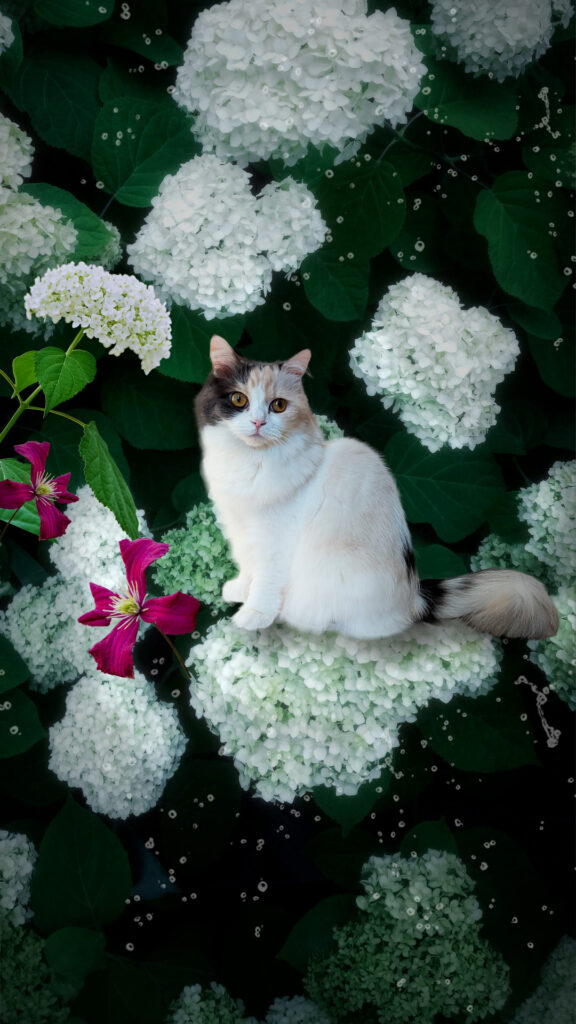 アナベルと猫のメモリアルコラージュ(UJ WORKS制作) ペットアート 猫アート デジタルコラージュ cat art pet art