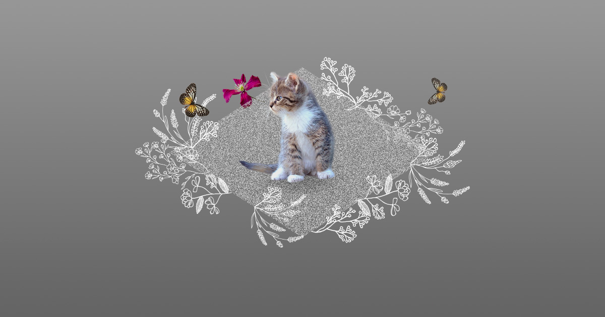 シマシマ子猫のメモリアルコラージュ（UJ WORKS制作）