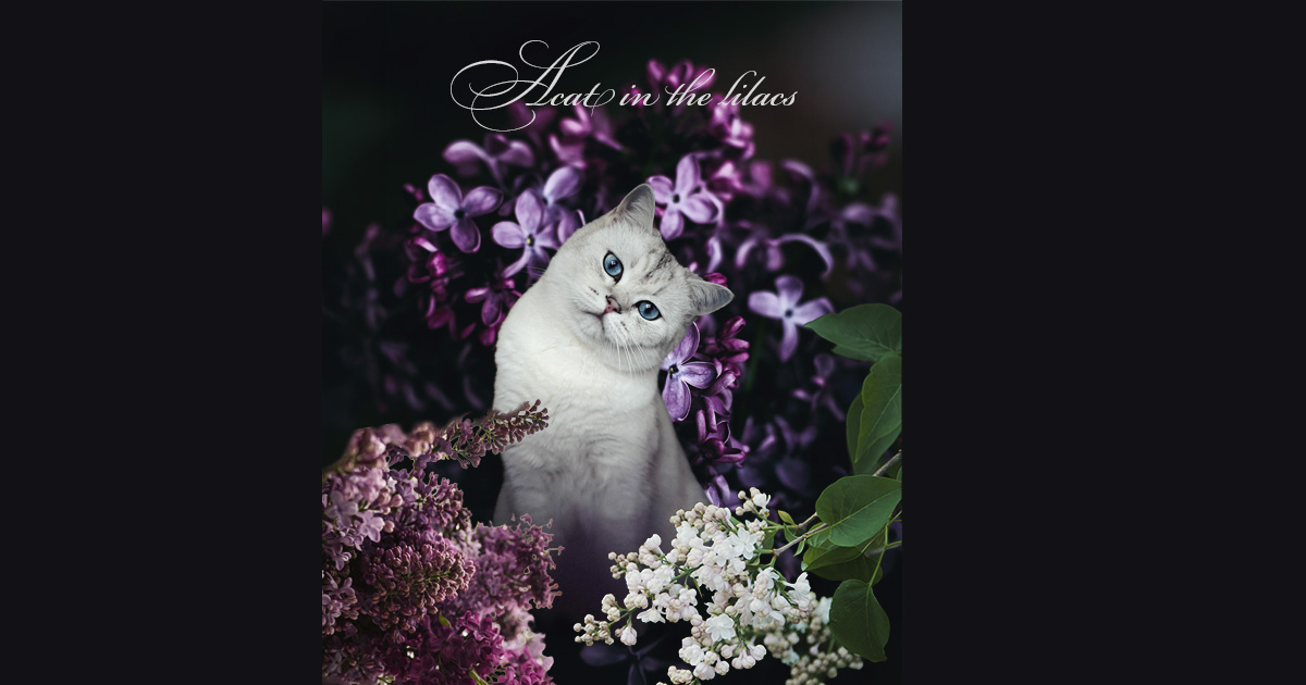 ライラックと猫のメモリアルコラージュ（UJ WORKS制作）