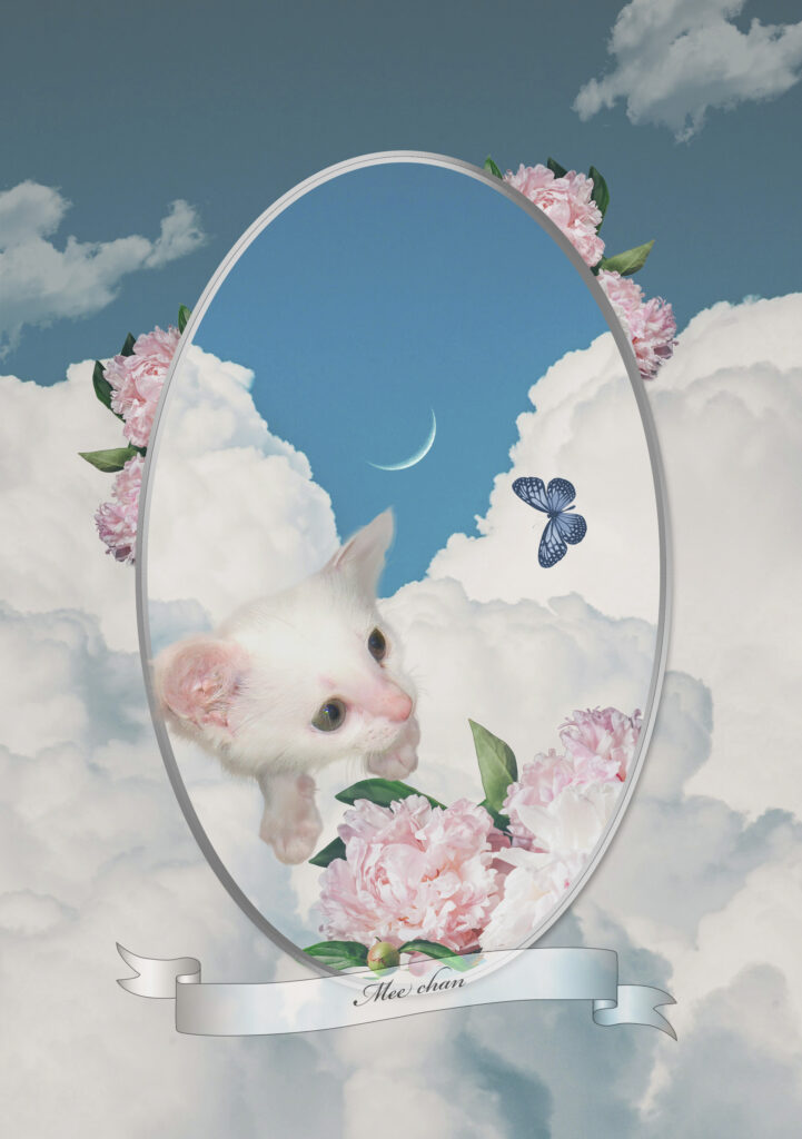子猫のみいちゃんと芍薬のアート ペットアート 猫のメモリアルアート
猫のデジタルコラージュアート
