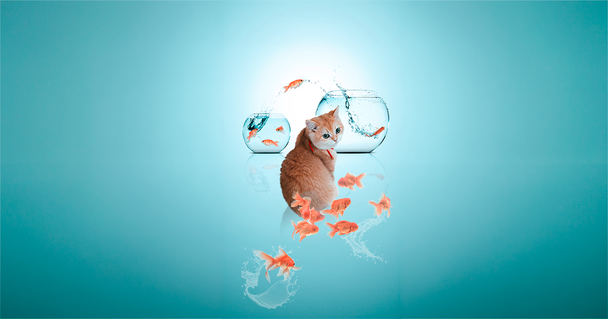 猫と金魚の幻想コラージュ