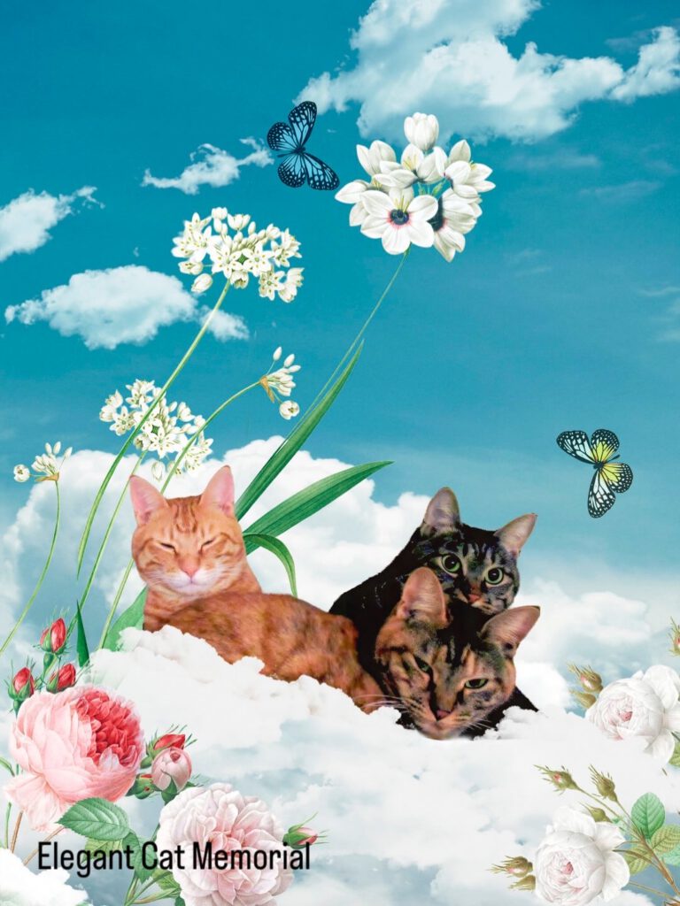 3匹の猫たちのメモリアルコラージュ 雲に乗って