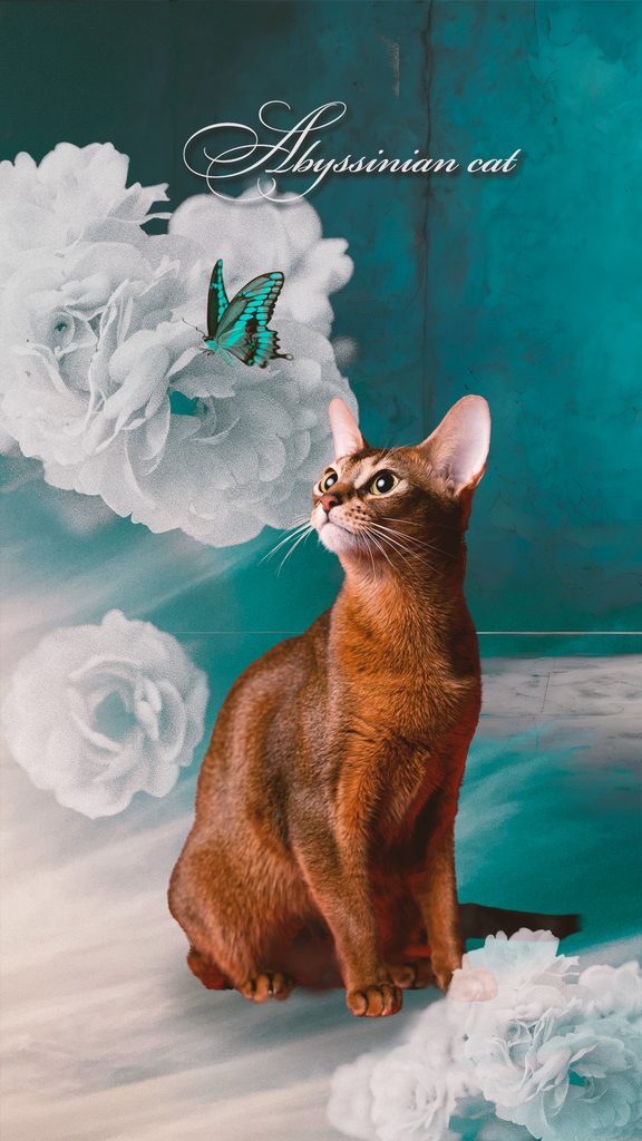 青緑の幻想的な背景と花に囲まれた茶色い猫の肖像