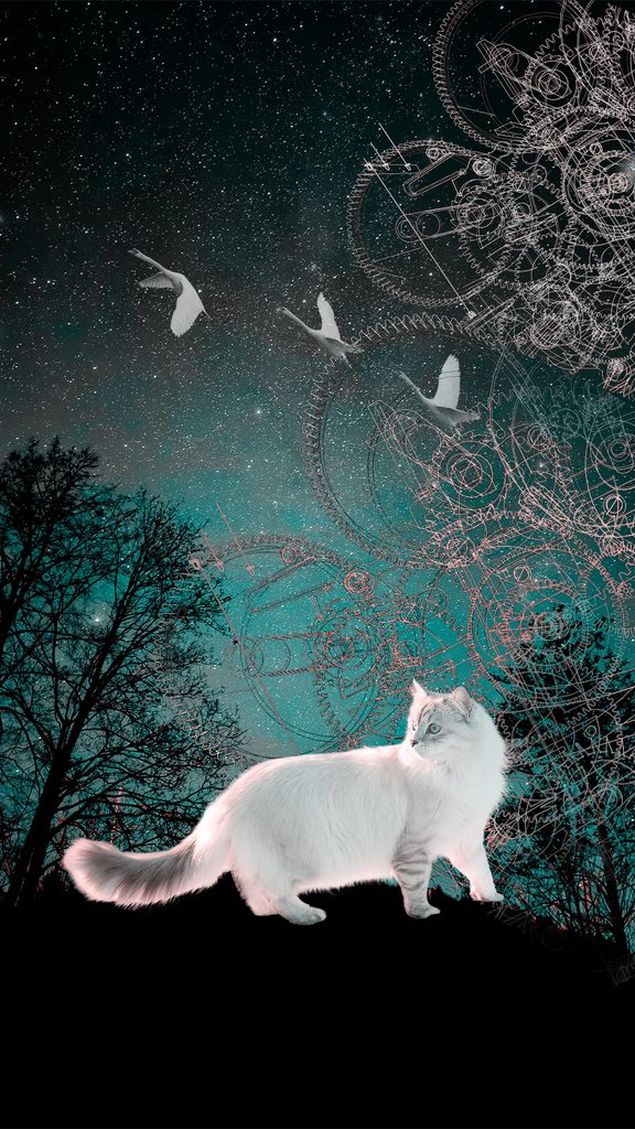 神秘的な夜の森に佇む猫のコラージュアート
