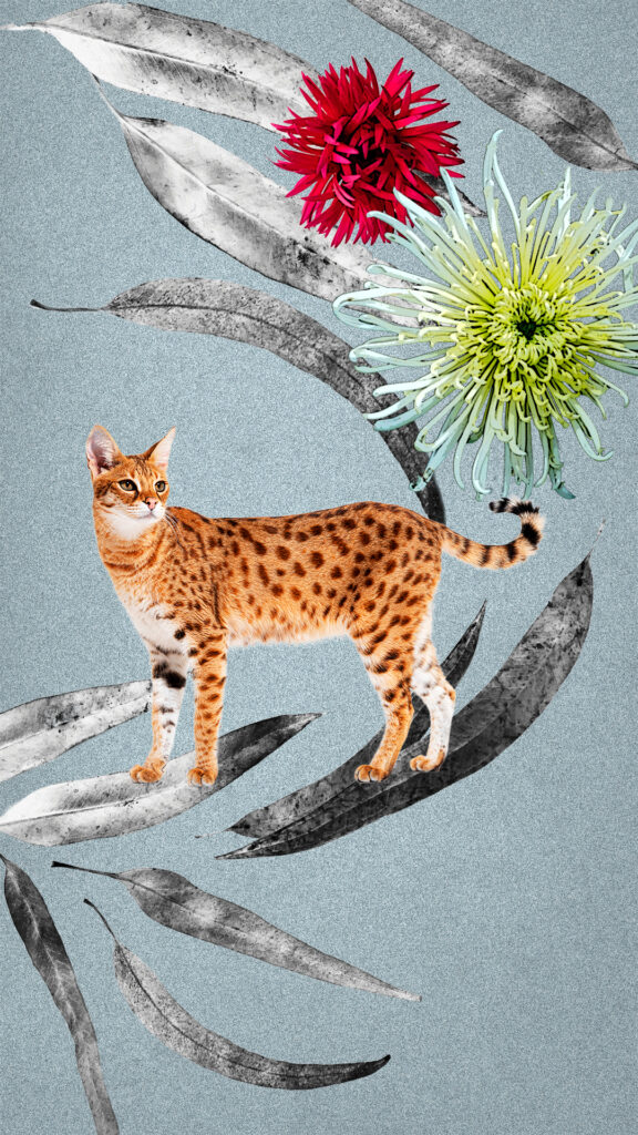 猫と銀の葉と花のスタイリッシュなコラージュ