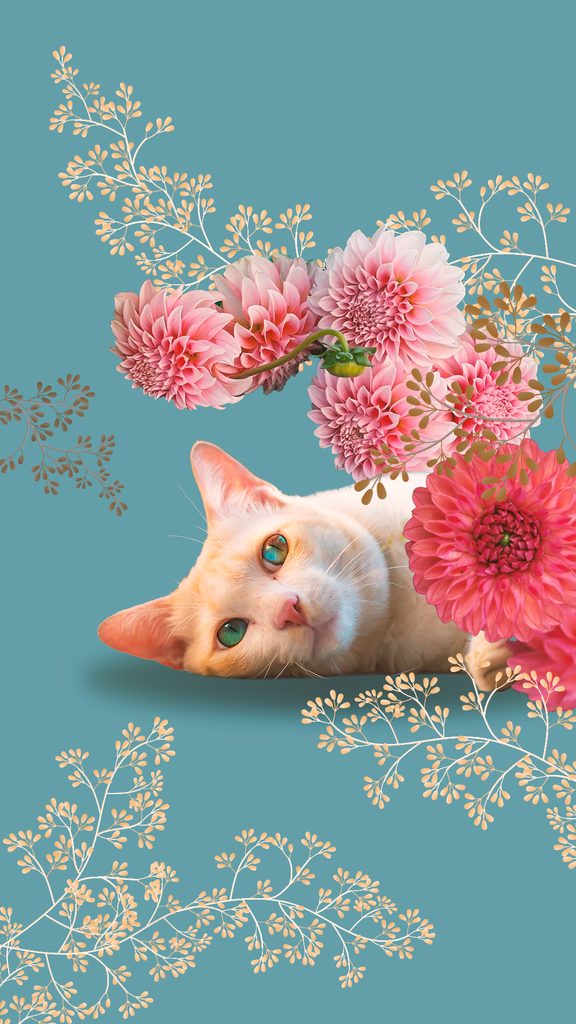 寝そべった猫とダリアのメモリアルコラージュ